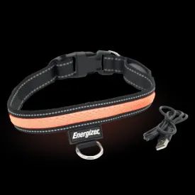 Energizer LED Dog Collar USB - Orange Blaze