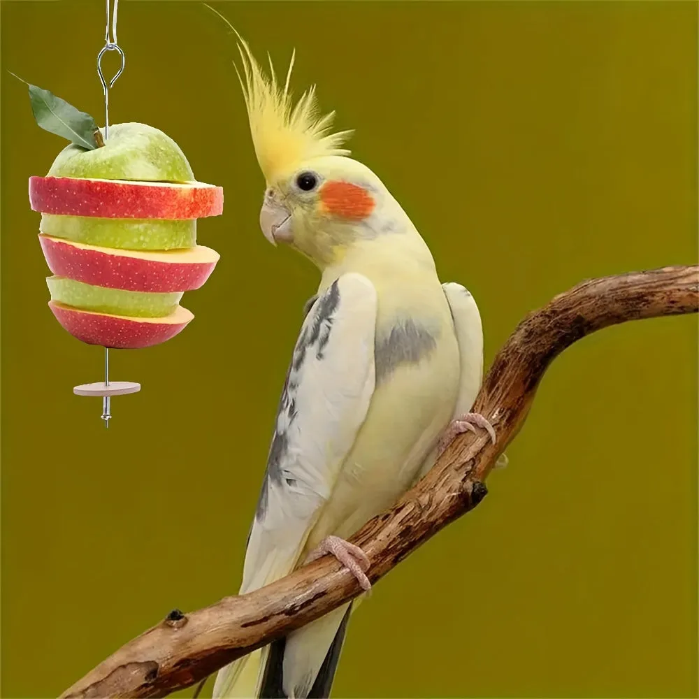 Feathered Friend Foraging Toy Stainless Steel Parrot Holder