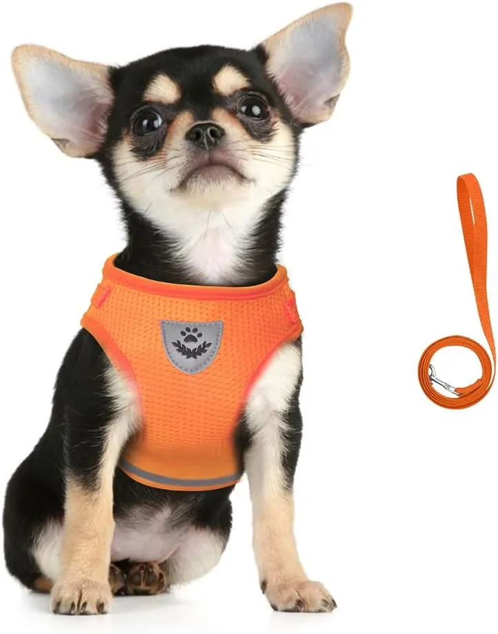 FEimaX Dog Harness and Leash Set for Walking, Soft Mesh Adjustable Easy Control Lightweight Cat Vest Harnesses with Reflective Strips, Escape Proof Small Dogs Cats Vests