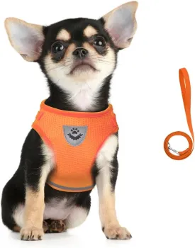 FEimaX Dog Harness and Leash Set for Walking, Soft Mesh Adjustable Easy Control Lightweight Cat Vest Harnesses with Reflective Strips, Escape Proof Small Dogs Cats Vests