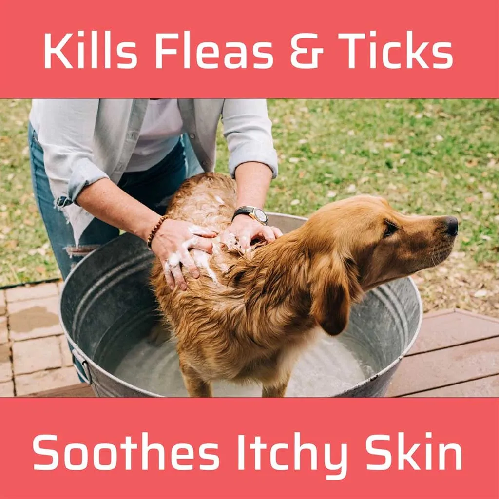 Flea & Tick Shampoo 12oz