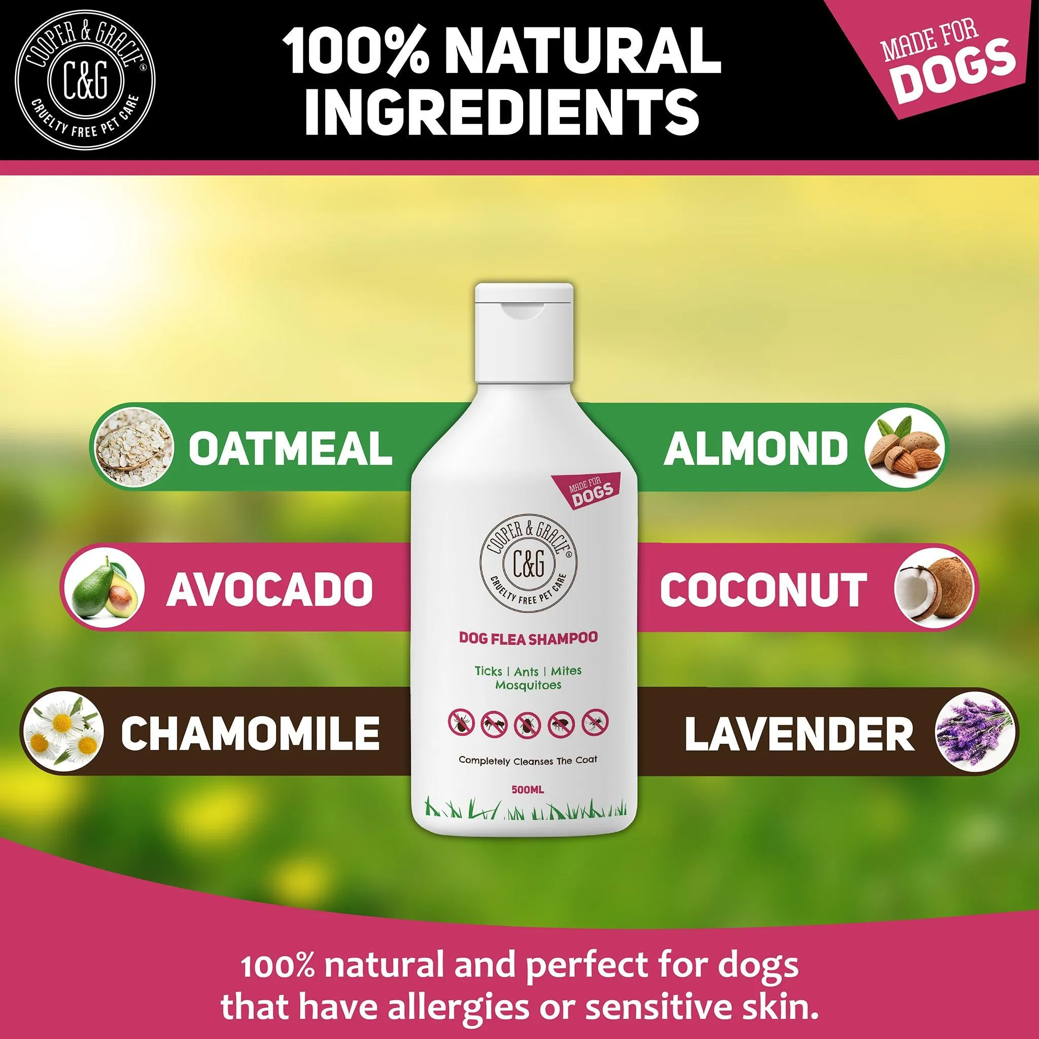 Flea and Tick Shampoo for Dogs