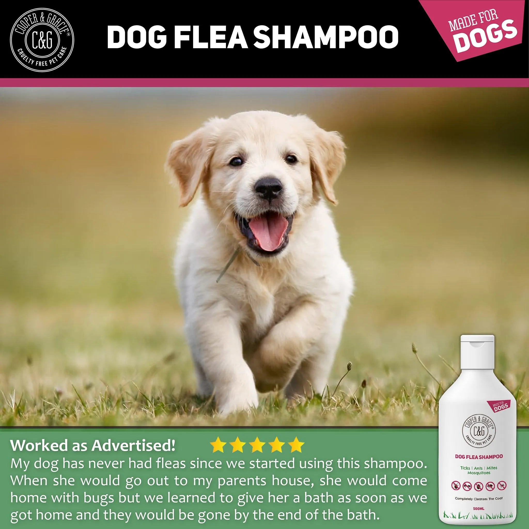 Flea and Tick Shampoo for Dogs