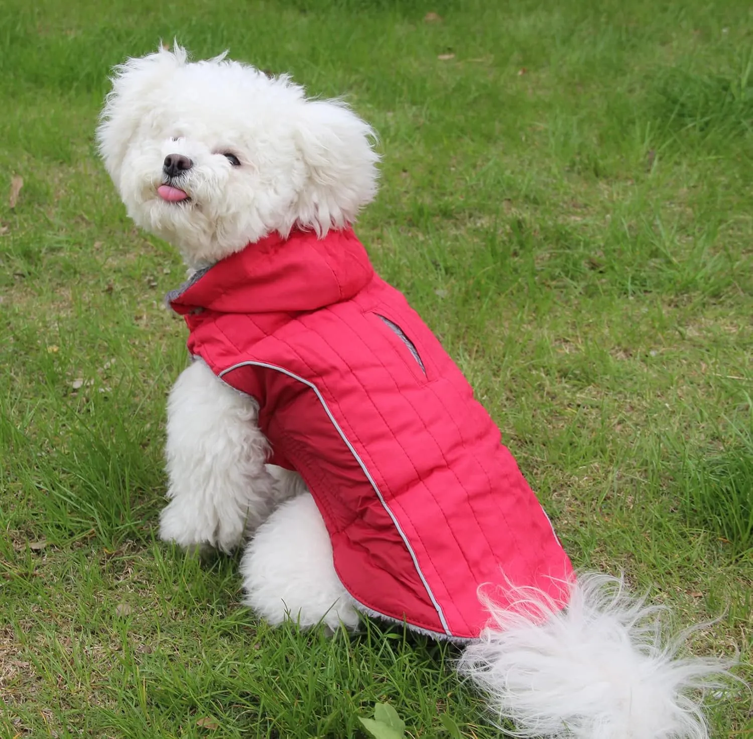 Fleece Dog Hoodie for Small Dogs Super Warm Puppy Jacket for Cold Winter Dog Coats,Red S