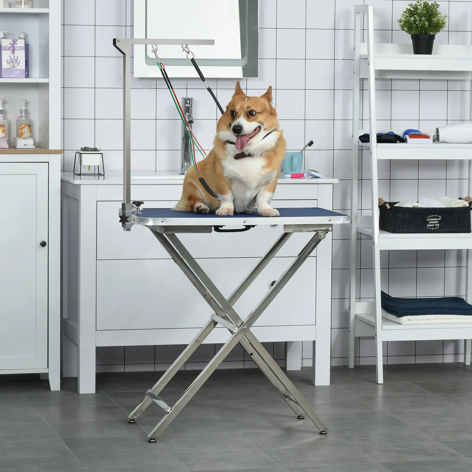 Foldable Pet Grooming Arm with Clamp 29" Height Adjustable Dog Grooming Holder for Table with 2 Haunch Holders Grooming Loop for Medium Dogs