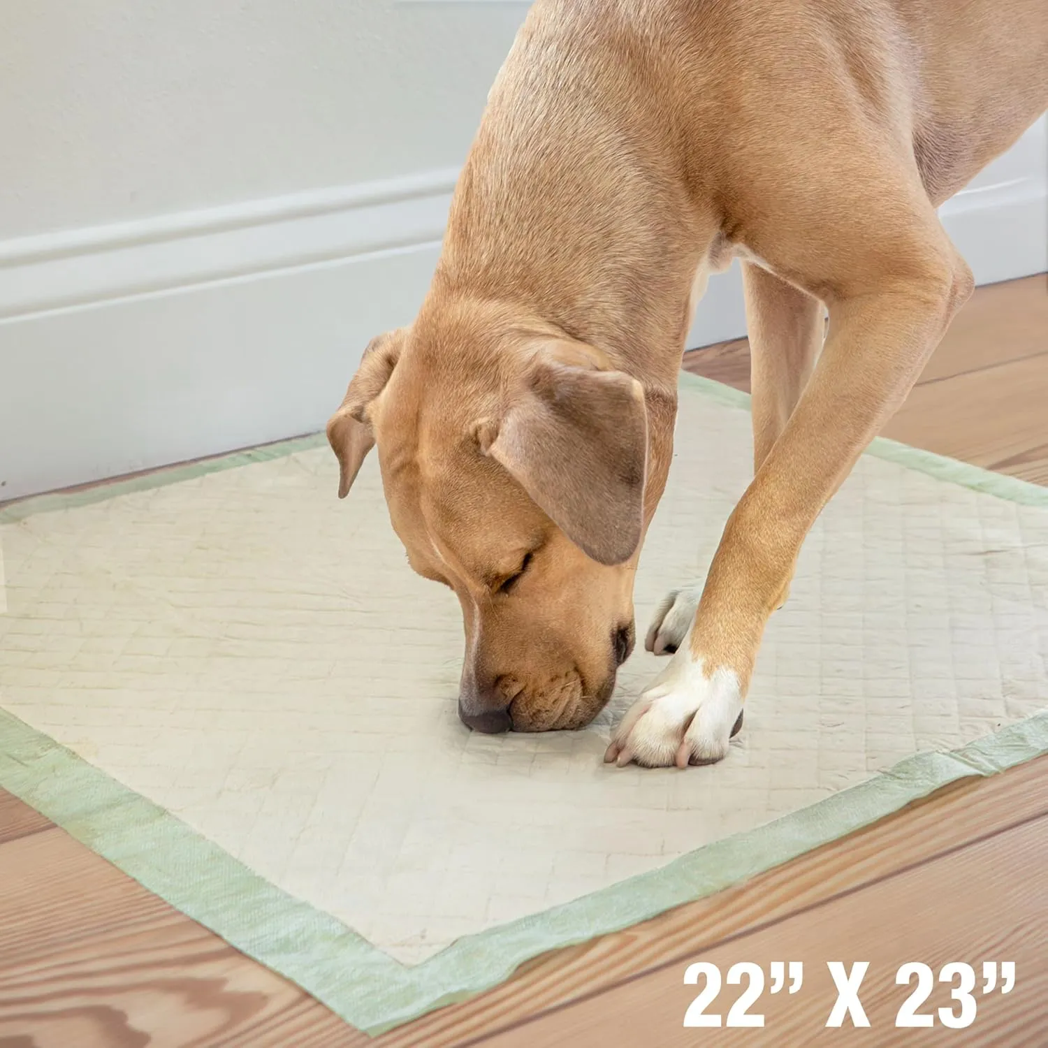 Four Paws Wee-Wee Superior Performance Bamboo Pee Pads for Dogs, Earth Friendly Dog & Puppy Potty Training Pads, Crate Liners, Housebreaking Supplies, 22" x 23" (32 Count)