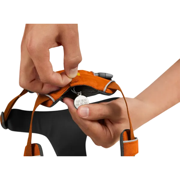 Front Range Harness