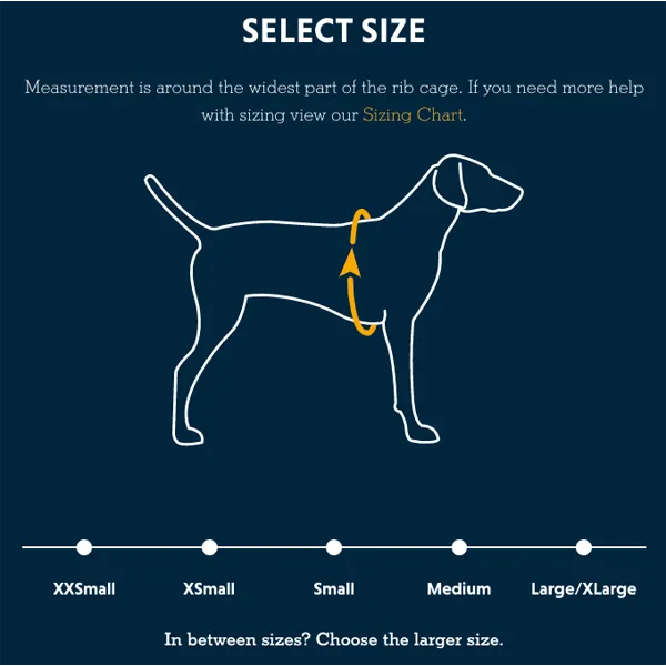 Front Range Harness