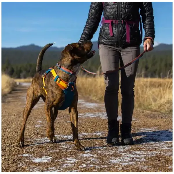 Front Range Harness