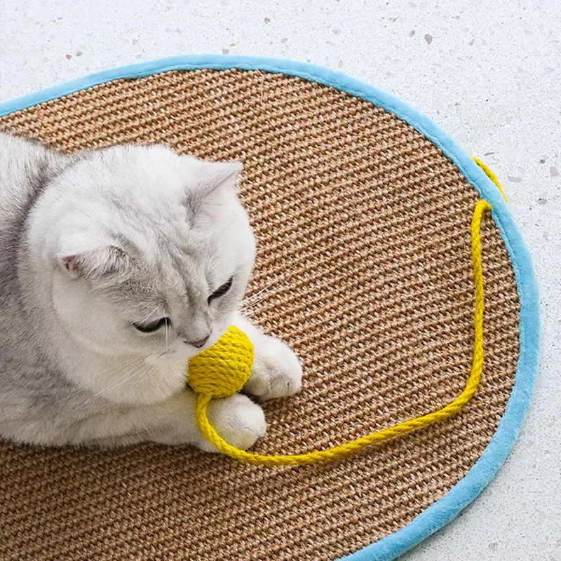 Funny Cat Mat
