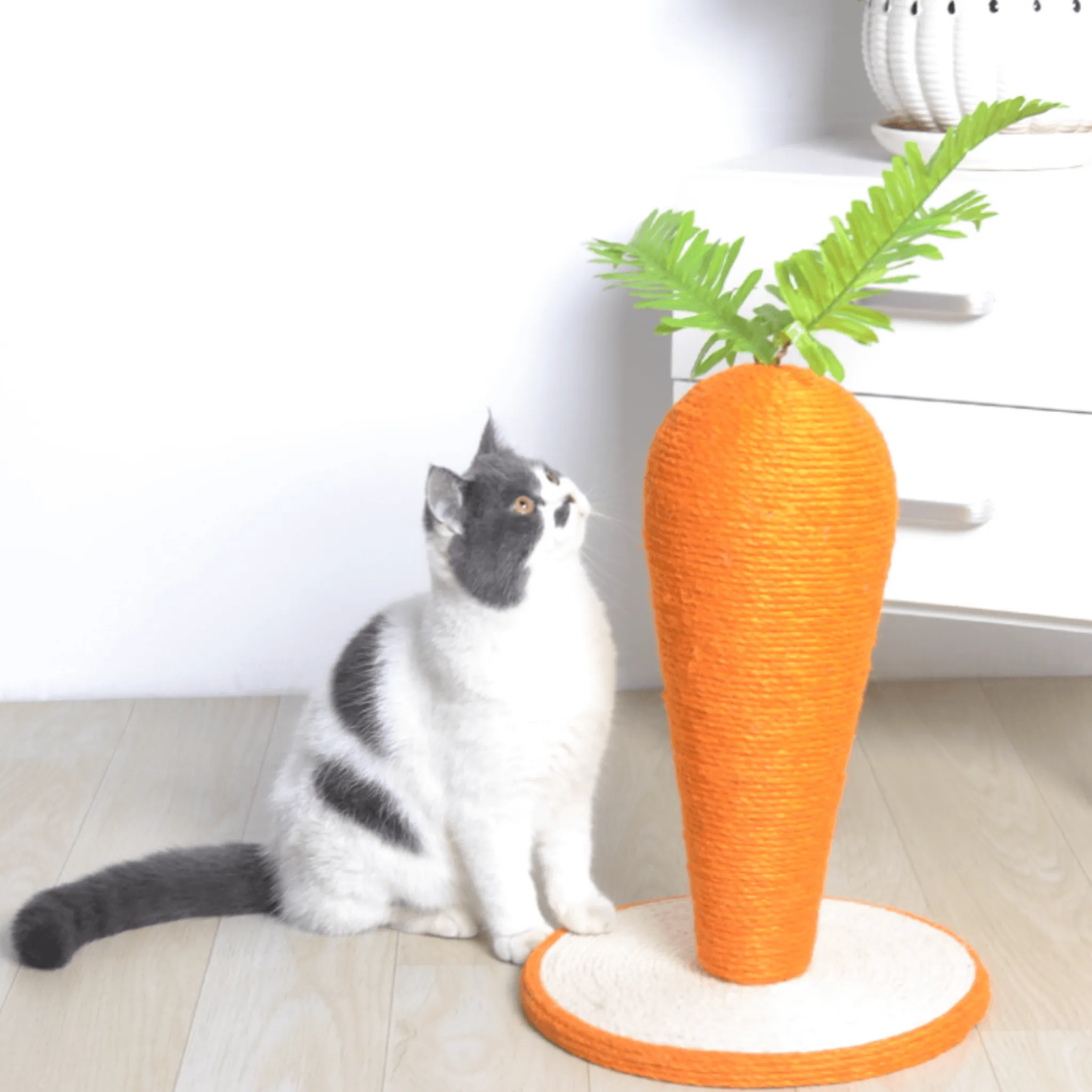 Giant Carrot Scratching Pole For Cats