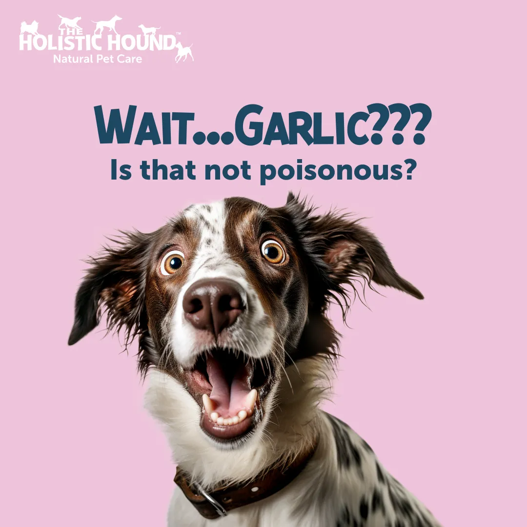 Holistic Hound Hairy & Happy (formerly Ticked Off)