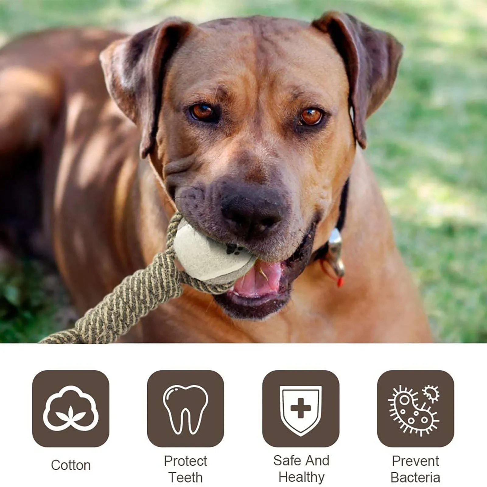 Interactive Cotton Rope Dog Toy – Tug, Chew, and Floss for Medium & Large Dogs