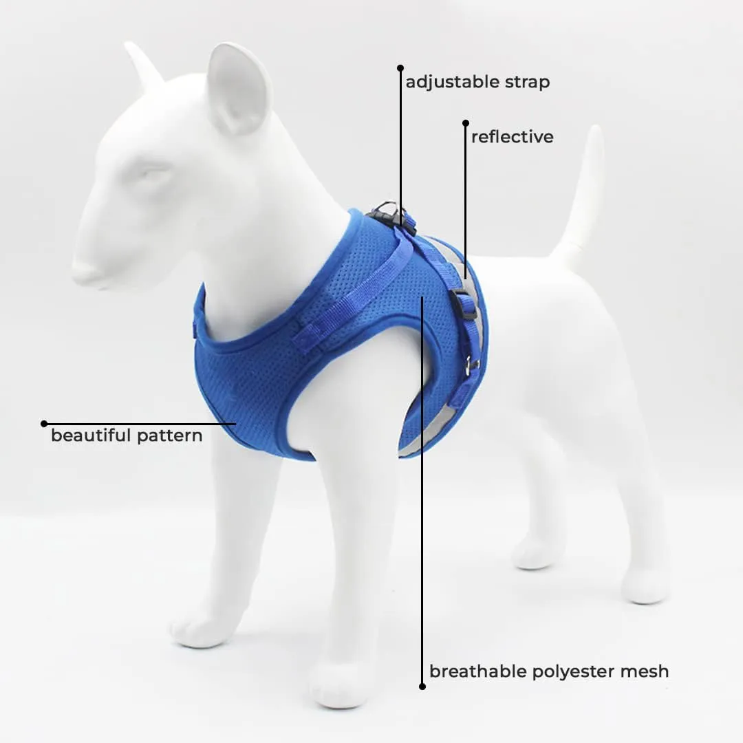 Kuber Industries Reflective Dog Harness with Adjustable Leash|Breathable Polyester Mesh Fabric |Medium Size|HT-844|Comfortable No-Pull Grip|Quick Release Buckles|Easy On-Off Harness|Blue (Pack of 3)