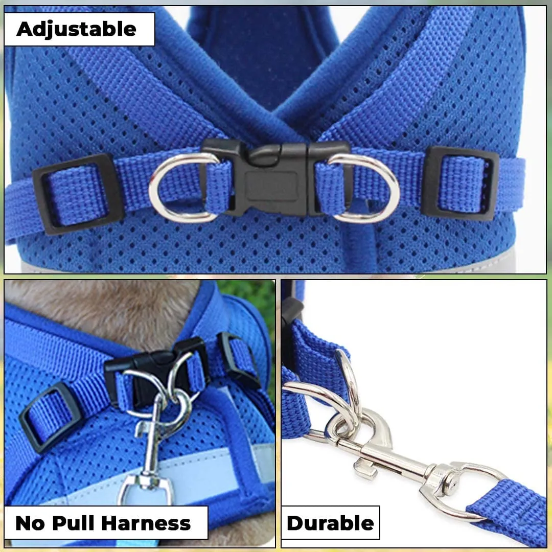 Kuber Industries Reflective Dog Harness with Adjustable Leash|Breathable Polyester Mesh Fabric |Medium Size|HT-844|Comfortable No-Pull Grip|Quick Release Buckles|Easy On-Off Harness|Blue (Pack of 3)