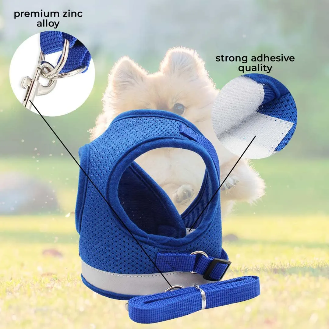 Kuber Industries Reflective Dog Harness with Adjustable Leash|Breathable Polyester Mesh Fabric |Medium Size|HT-844|Comfortable No-Pull Grip|Quick Release Buckles|Easy On-Off Harness|Blue (Pack of 3)
