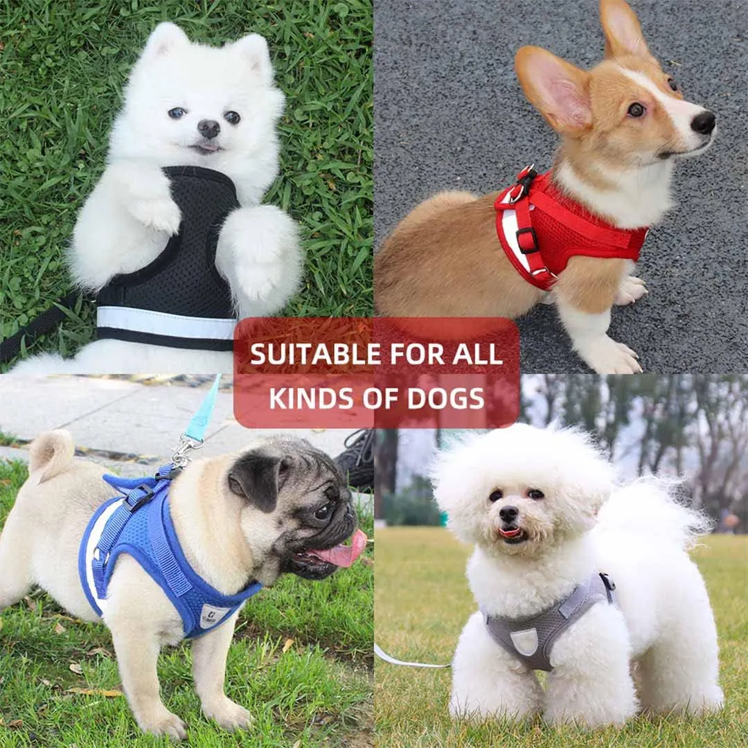 Kuber Industries Reflective Dog Harness with Adjustable Leash|Breathable Polyester Mesh Fabric |Medium Size|HT-844|Comfortable No-Pull Grip|Quick Release Buckles|Easy On-Off Harness|Blue (Pack of 3)