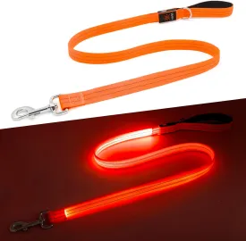 LED Dog Leash, 4 Ft Light Up, USB Rechargeable, Waterproof, Nylon Reflective with Padded Handle, Safety Glow in The Dark for Large, Medium, Small Pets (Orange)