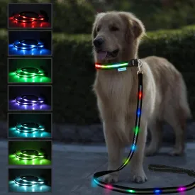 LED Dog Leash, Lighted Dog Leash for Night Walking, USB Rechargeable 8 Colors in One Heavy Duty Light Up Dog Leash Padded Handle Glow in The Dark Led Leashes for Small Medium Large Dogs-6FT