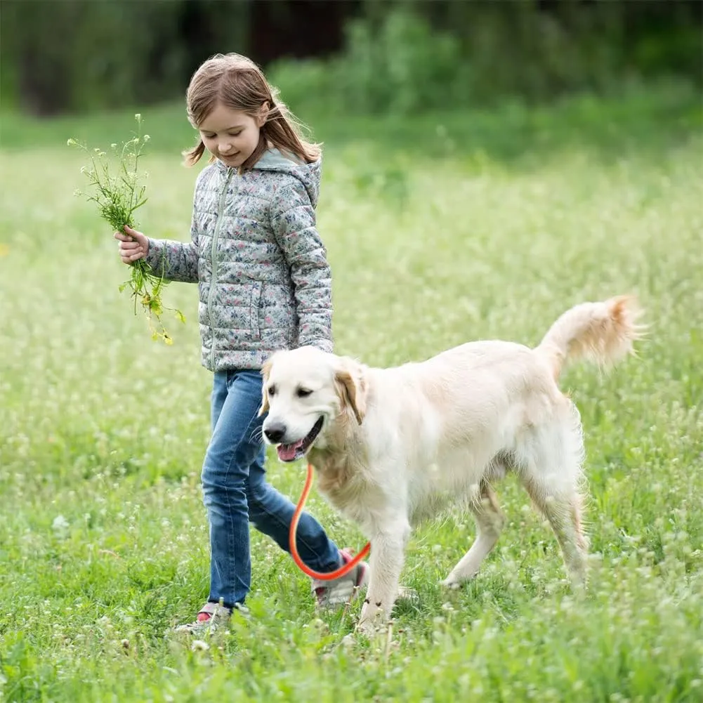 lynxking Dog Leash Rope Dog Training Leash 2FT 6FT Strong Heavy Duty Braided Training Lead Leashes for Small Medium Large Dogs