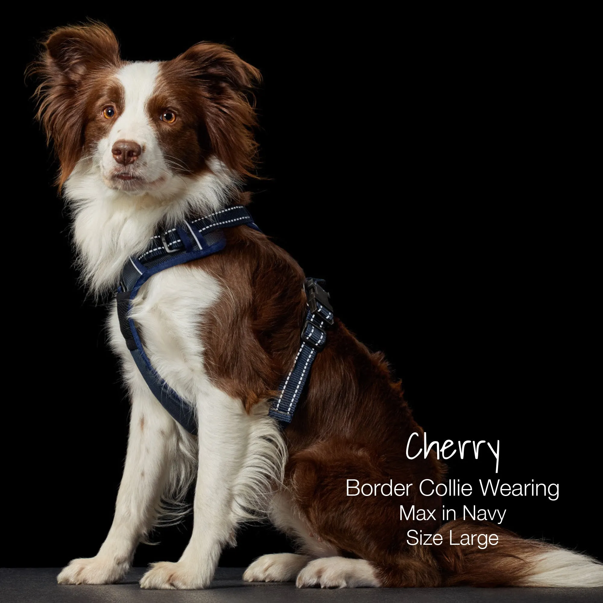 MAX - THE HARDY REFLECTIVE HARNESS
