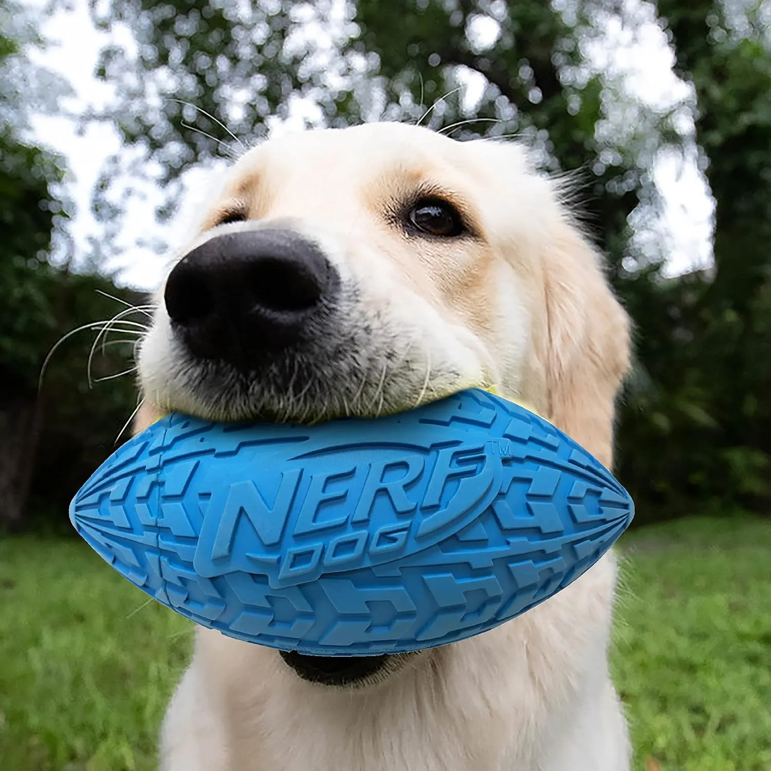 Nerf Dog Tire Squeak Football Outdoor Dog Toy, 6 Inch Dog Football Squeaking Toy for Medium and Large Breeds, Blue