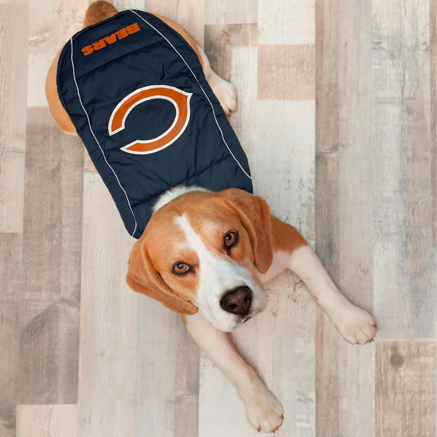 NFL Chicago Bears Puffer Vest for Dogs & Cats, Size Large. Warm, Cozy, and Waterproof Dog Coat, for Small and Large Dogs/Cats. Best NFL Licensed PET Warming Sports Jacket