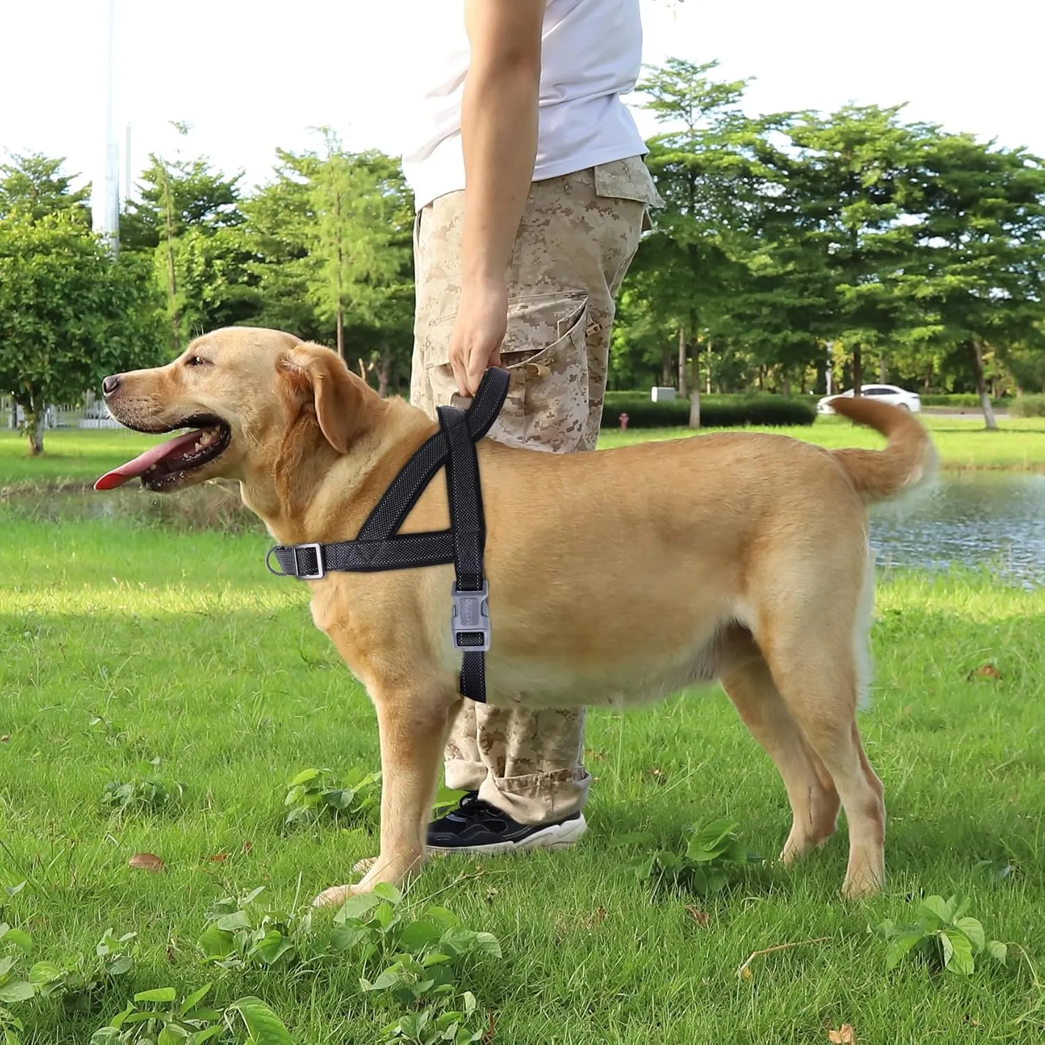 No Pull Dog Harness, Reflective Puppy Harness with Soft Padded Handle, Escape Proof/Quick Fit Adjustable Pet Harness for Small Medium Large Dogs, Easy for Training Walking (Black, S)