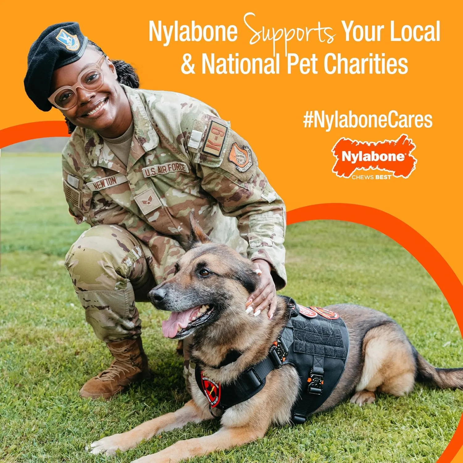 Nylabone Limited Edition 70th Birthday Textured Bone Power Chew Toy for Dogs, Durable & Tough Dog Toys for Aggressive Chewers, Roasted Chicken Flavor, Medium Dogs - Up to 35 lbs (1 Count)