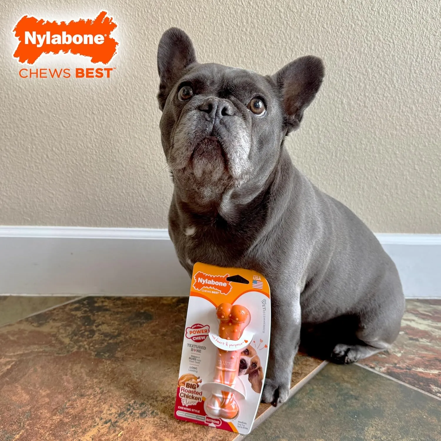 Nylabone Limited Edition 70th Birthday Textured Bone Power Chew Toy for Dogs, Durable & Tough Dog Toys for Aggressive Chewers, Roasted Chicken Flavor, Medium Dogs - Up to 35 lbs (1 Count)