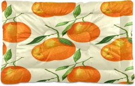 Oranges with Leaves Outdoor Dog Bed for Small Dogs Washable Waterproof Travel Pet Bed Mat Portable Cat Bed with Non-Slip Bottom for Indoor and Sleeping 18 x 24 Inch