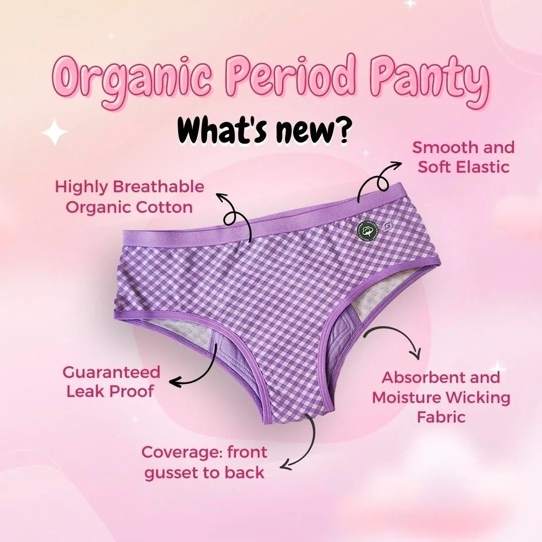 Organic Reusable/Washable/Leakproof/Absorbent Period Panty (Hipster)
