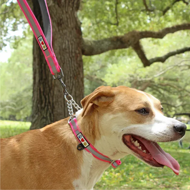 Padded Reflective Short Leash 1-FT