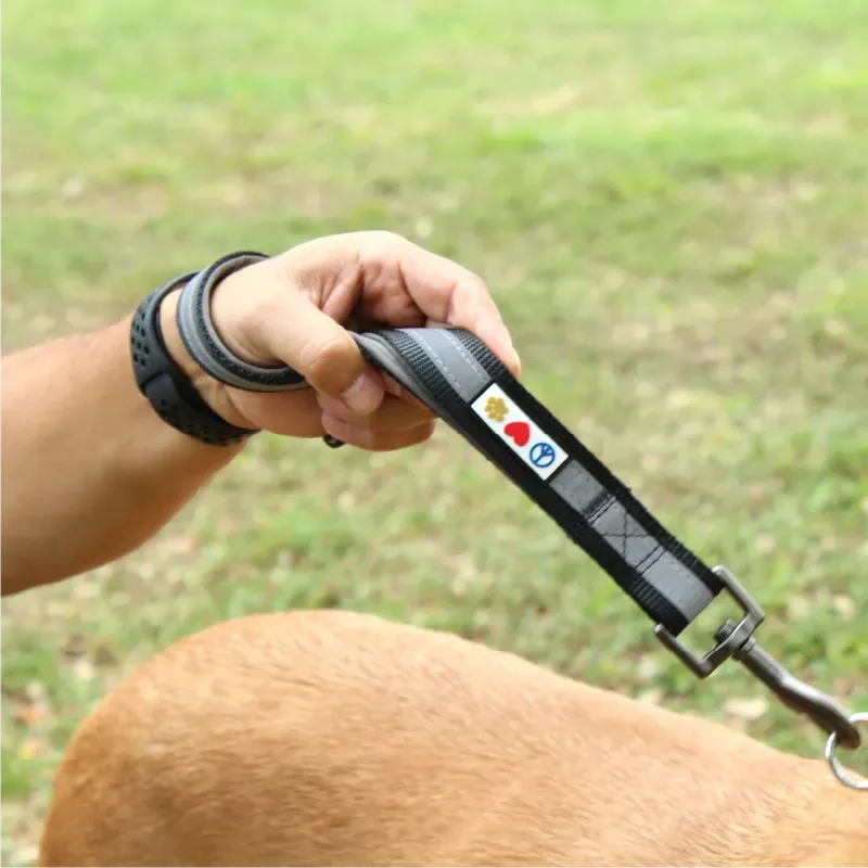 Padded Reflective Short Leash 1-FT