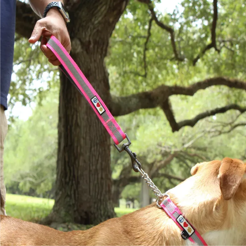 Padded Reflective Short Leash 1-FT