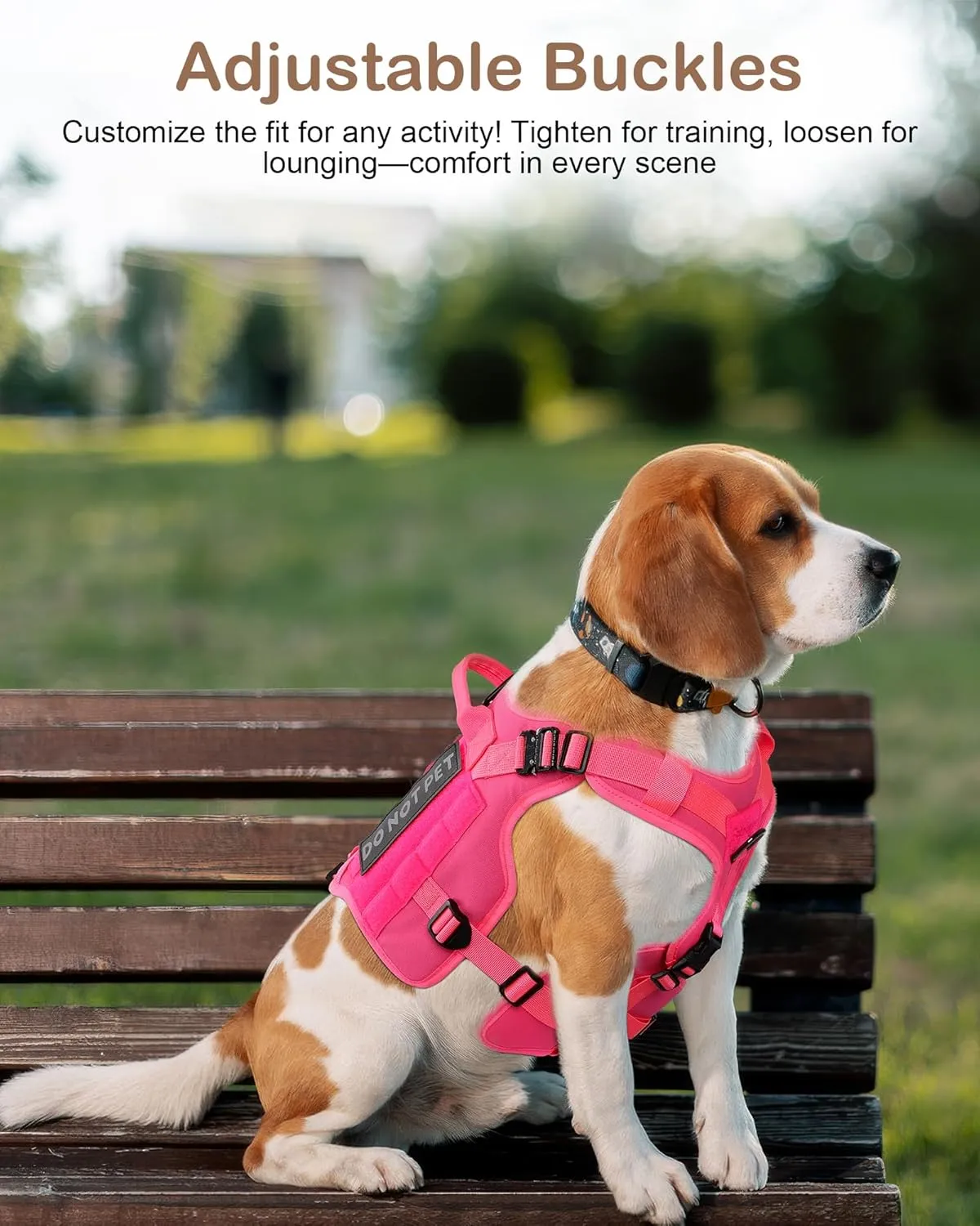 PETNANNY Tactical Dog Harness - Service Dog Harness Emotional Support Dog Vest for Medium Large Dogs, No Pull ESA Dog Vest with Hook & Loop, Working Molle Vest for Training Huntin(Navy Blue Camo,L)