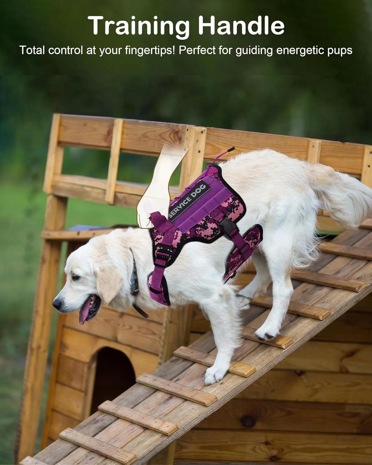 PETNANNY Tactical Dog Harness - Service Dog Harness Emotional Support Dog Vest for Medium Large Dogs, No Pull ESA Dog Vest with Hook & Loop, Working Molle Vest for Training Huntin(Navy Blue Camo,L)