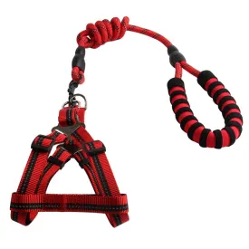 Reflective Dog Leash and Harness