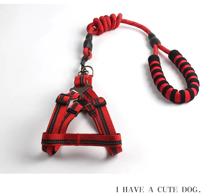 Reflective Dog Leash and Harness