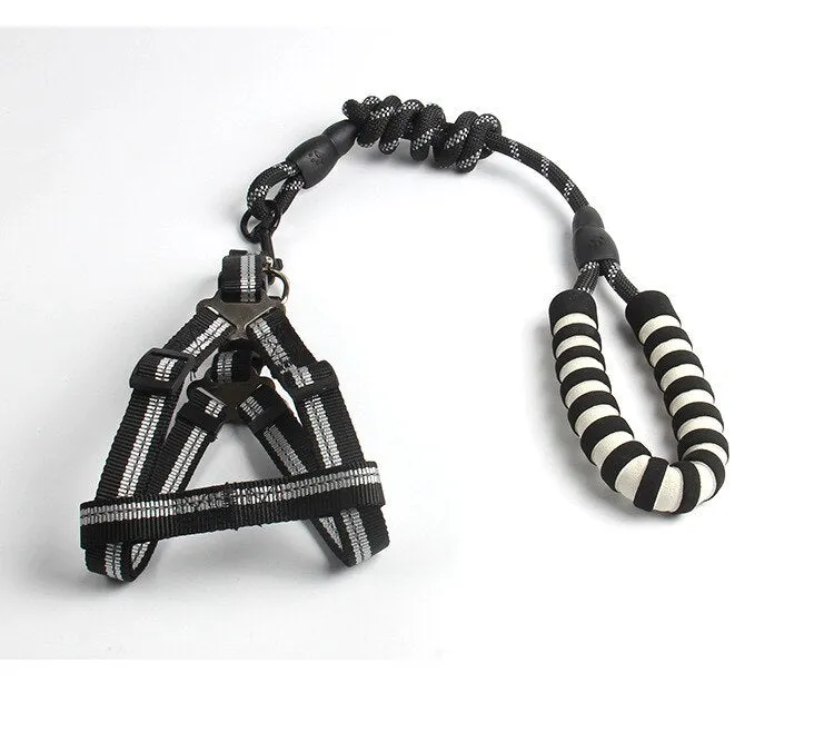 Reflective Dog Leash and Harness