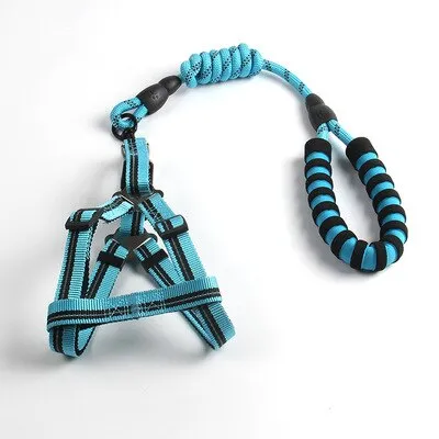 Reflective Dog Leash and Harness