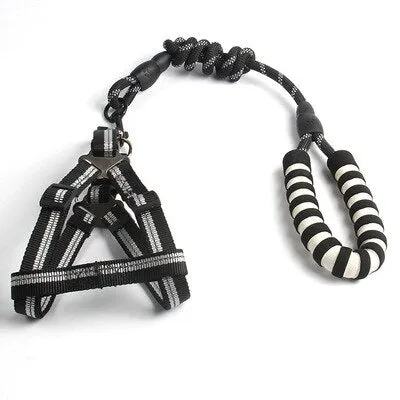 Reflective Dog Leash and Harness