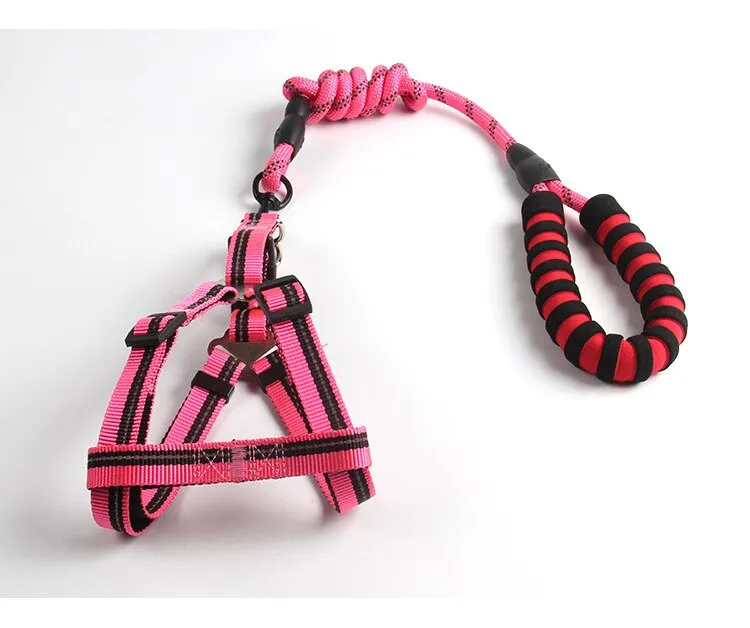 Reflective Dog Leash and Harness