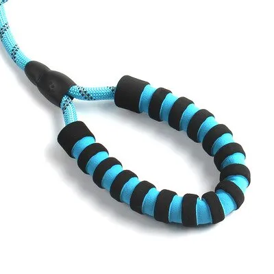 Reflective Dog Leash and Harness