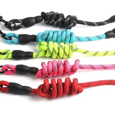 Reflective Dog Leash and Harness