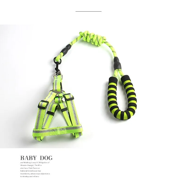 Reflective Dog Leash and Harness