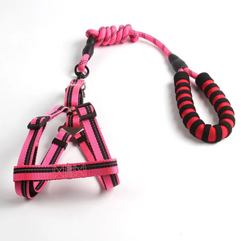 Reflective Dog Leash and Harness