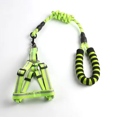 Reflective Dog Leash and Harness