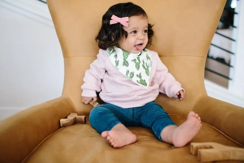 Sage Baby Bandana Bibs