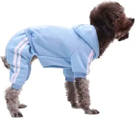 Small Puppy Dog  4 